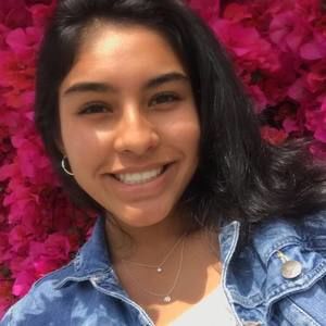 Meet your Posher, Genesis